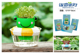Floating Cute Planter